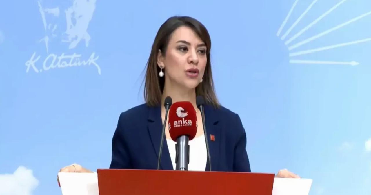Türkiye’nin Çalışma Kaideleri Eleştirildi