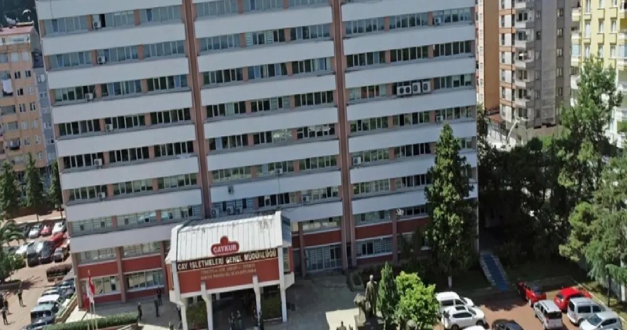 2025 Yaş Çay Kampanyası Başladı