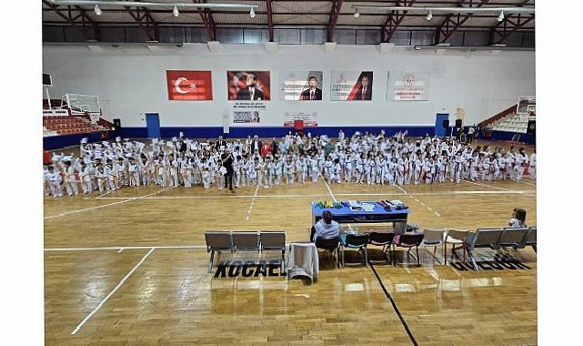293 Gölcük Belediyespor Taekwondo Atleti Nesil Atladı