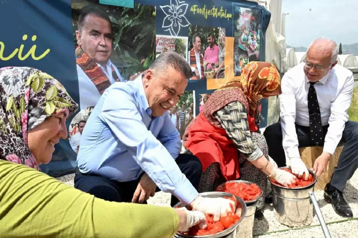 4. Memleketler arası FoodFest Antalya Başladı: Domates Hasadı Kumluca’da Yapıldı
