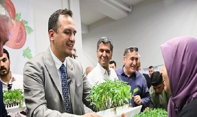 400 bin yazlık fide üreticiyle buluşuyor
