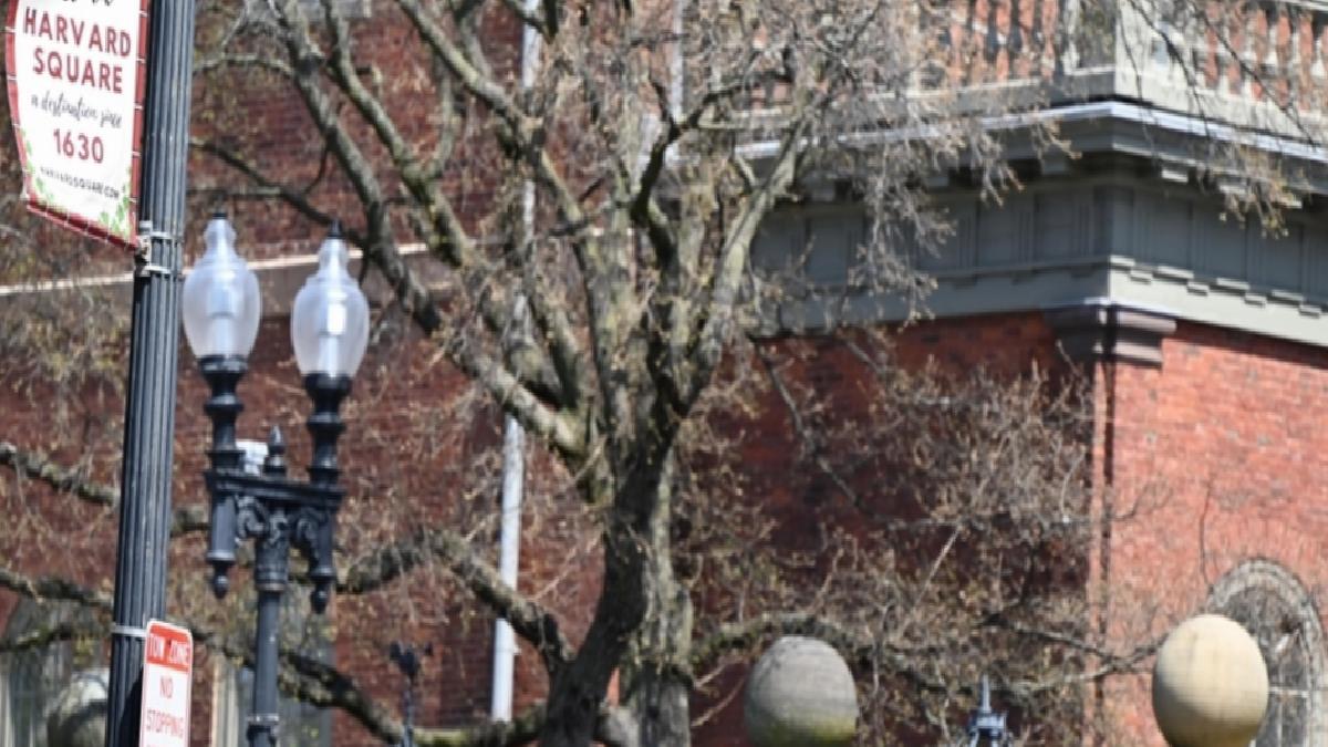 ABD Eğitim Bakanlığı: Harvard’a yeni federal fon verilmeyecek