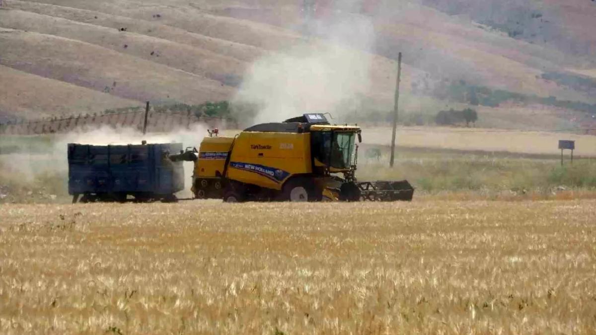 Adıyaman’da Hububat Hasadı Başladı