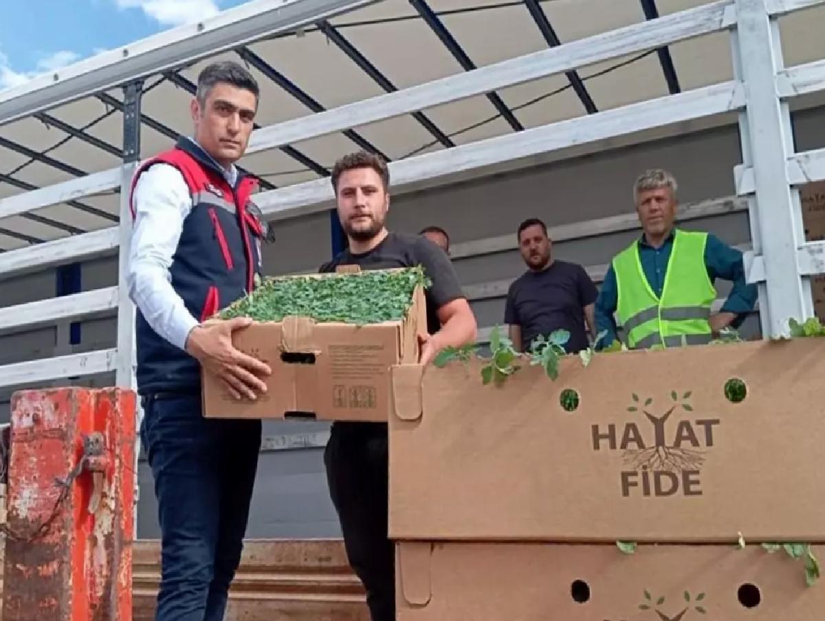 Afyon’da Domates Projesi Başladı