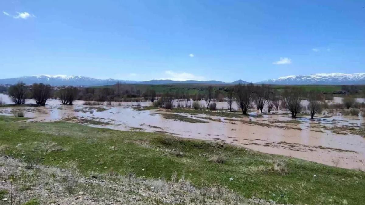 Ağrı’da Murat Irmağı Taştı