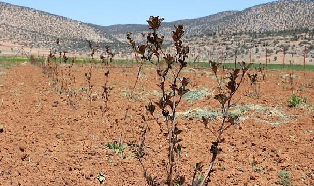 Antalya’da ziraî sulama projeleriyle bilakis göç hızlandı