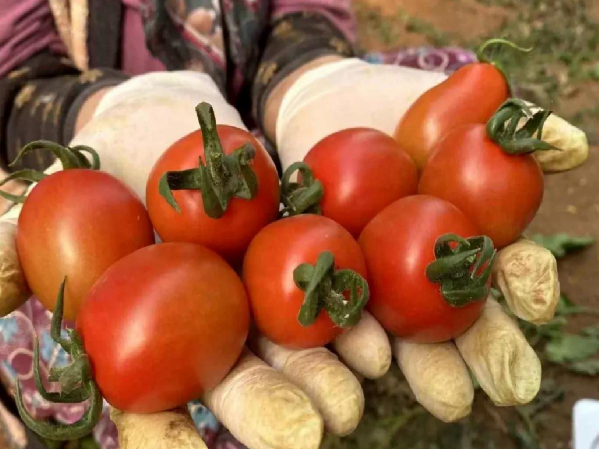 Antalya’nın İhracatı Nisan’da Artış Gösterdi