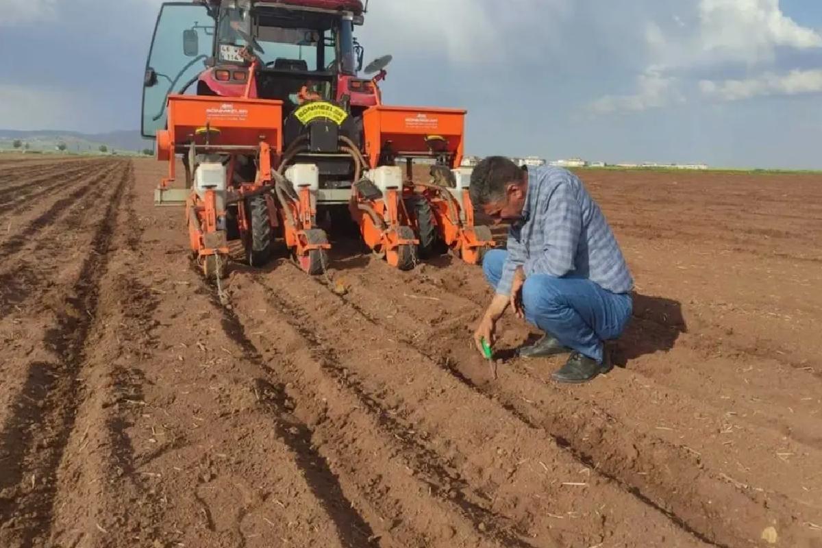 Araban’da Pamuk Ekimi Başladı