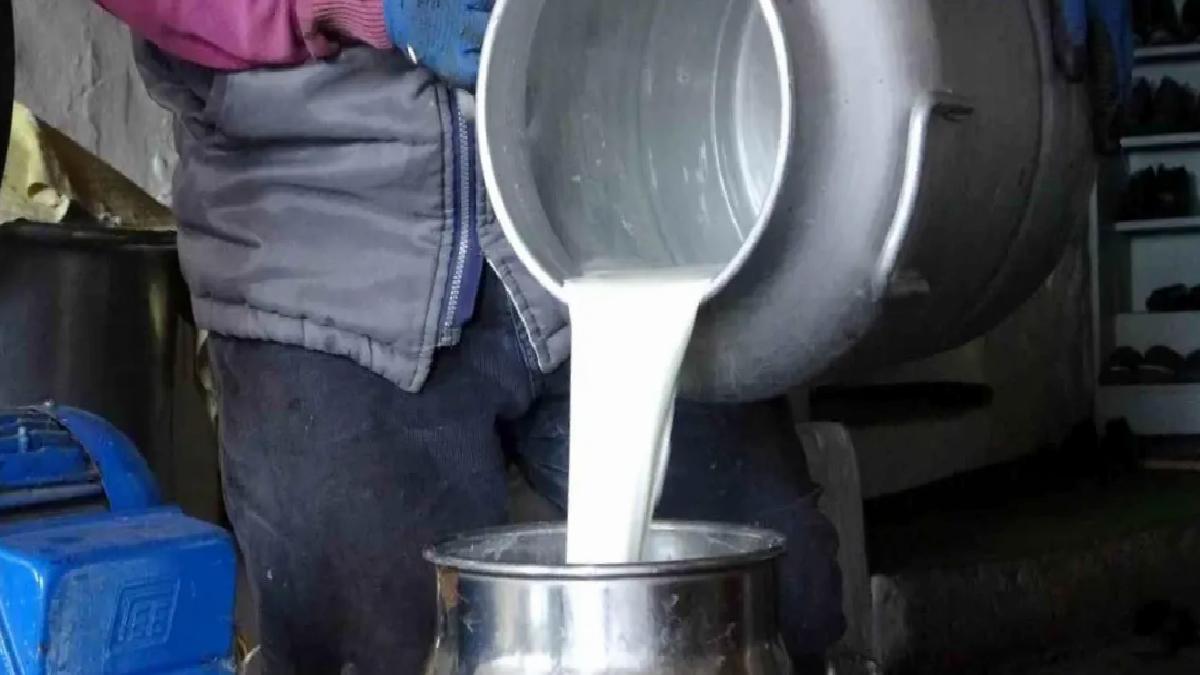 Ardahan’da Süt Üreticileri Krizde