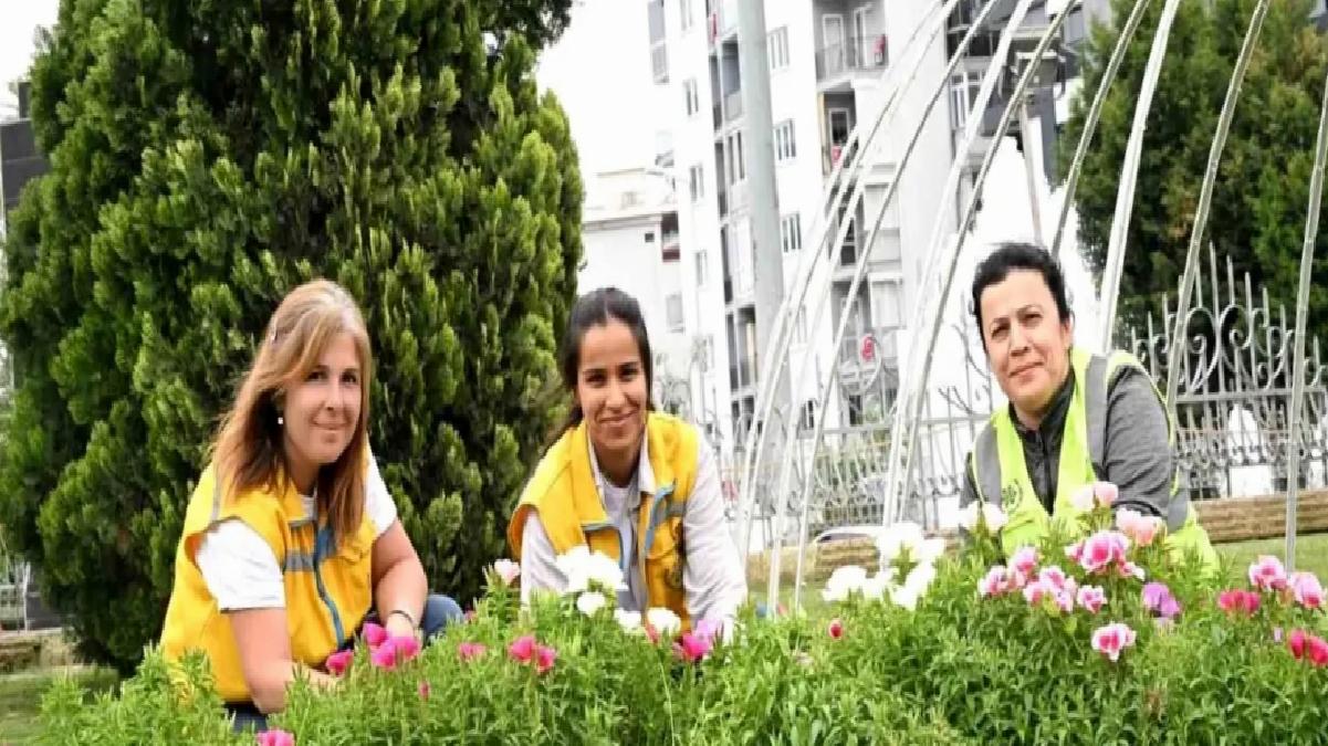 Aydın’da Bahar Çiçekleri ile Kent Süsleniyor