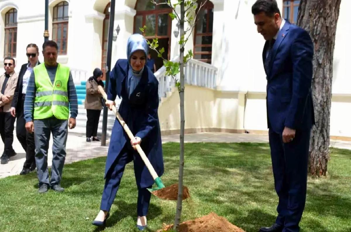 Bakan Göktaş, Bilecik’te Çınar Fidanı Dikti