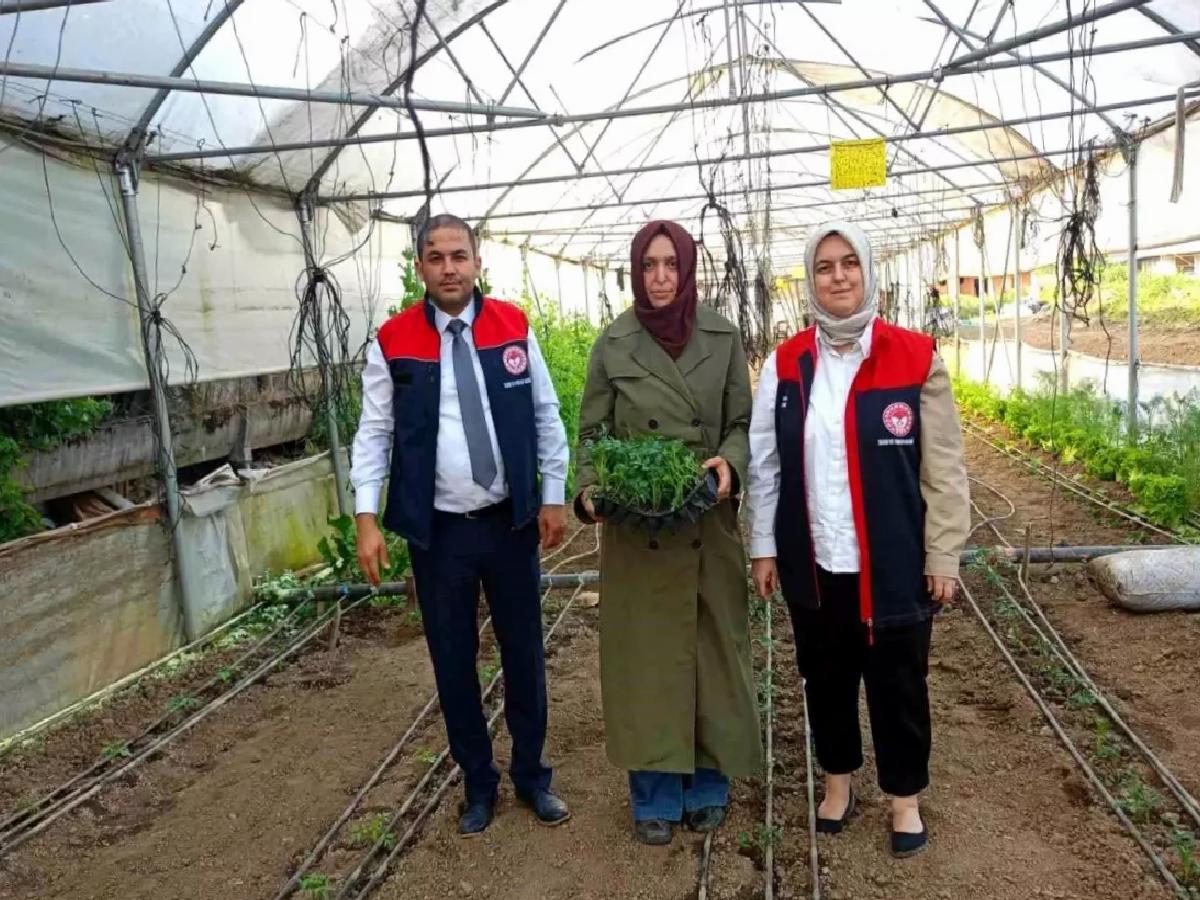 Bayan Üreticilerin Seralarına Ziyaret