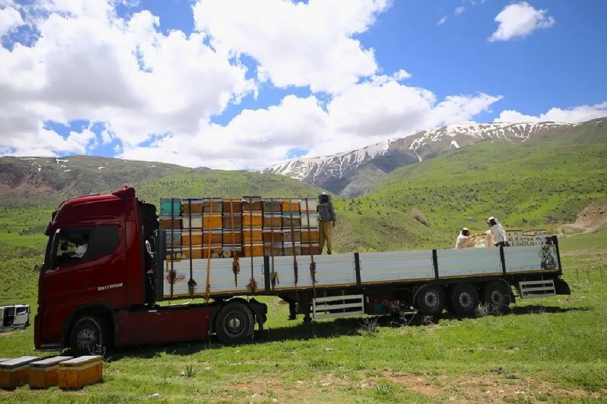 Bingöl Arıcıları İlkbahar İçin Dönüş Yolda