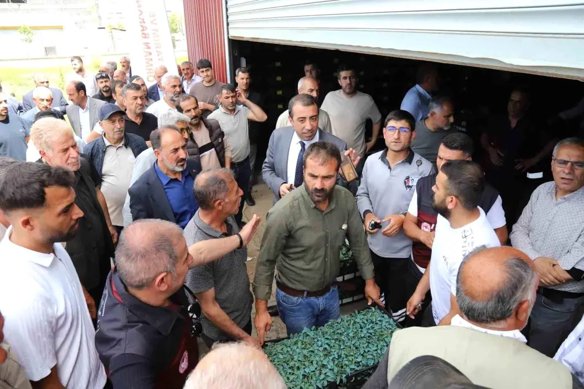 Bingöl’de 442 Bin Zerzevat Fidesi Dağıtıldı