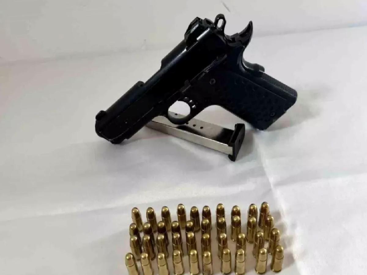 Bingöl’de Silah Operasyonu: 2 Silah Ele Geçirildi