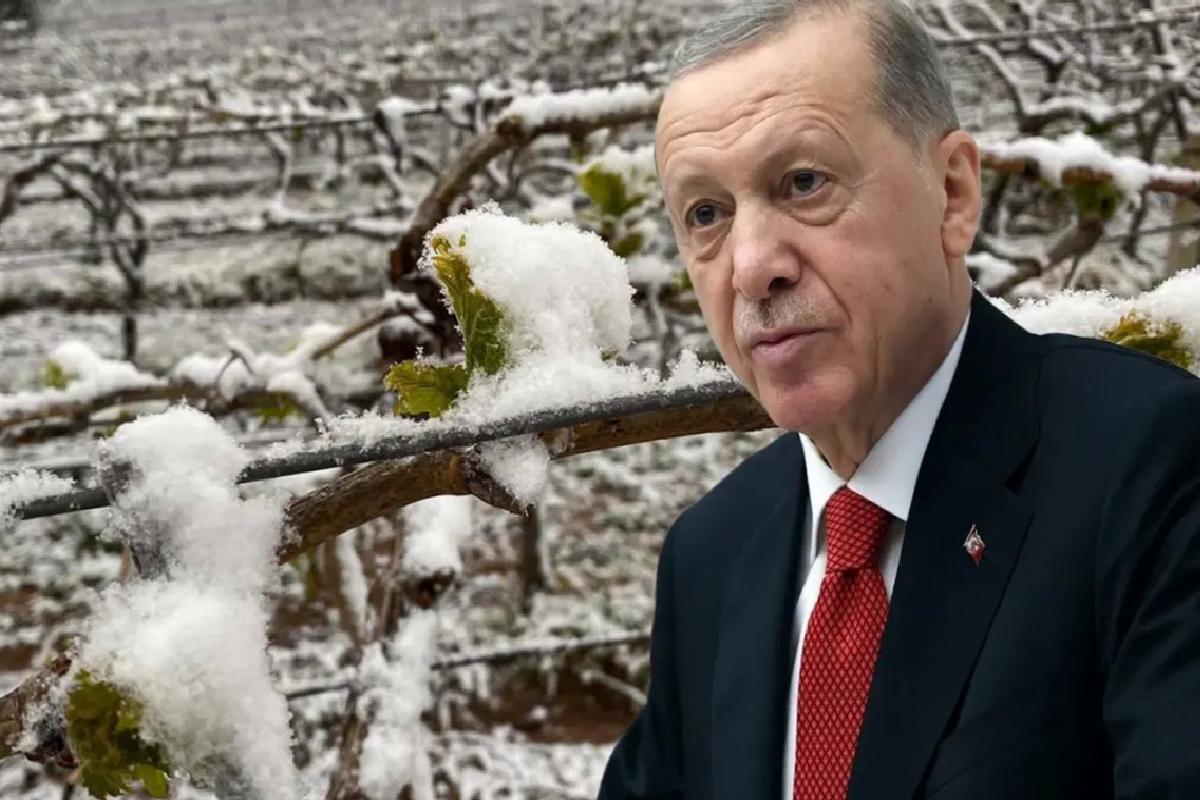 “Bu yıl eza yaşayacağız” diyen Cumhurbaşkanı Erdoğan, o eserleri tek tek saydı