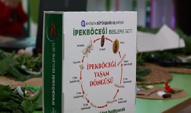 Büyükşehir çocukları ipekböceği ile tanıştırıyor