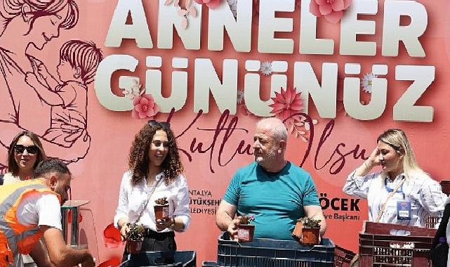 Büyükşehir’den ‘Annelere’ 25 bin çiçek