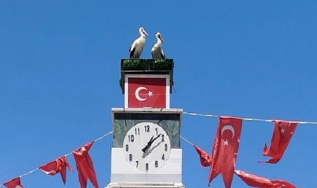 Can ve Canan Leylek Yuvalarına Geldi