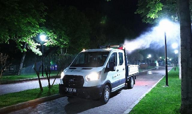 Çankaya’da yaz için ilaçlama seferberliği başladı