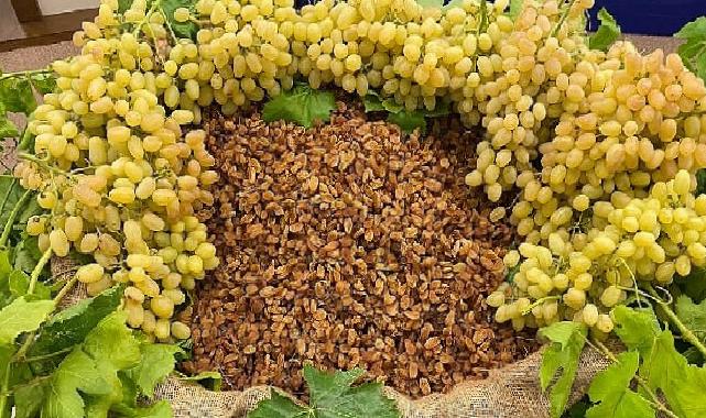 Çekirdeksiz kuru üzüm, kuru kayısı ve kuru incir ihracatında 1 milyar dolar aşıldı