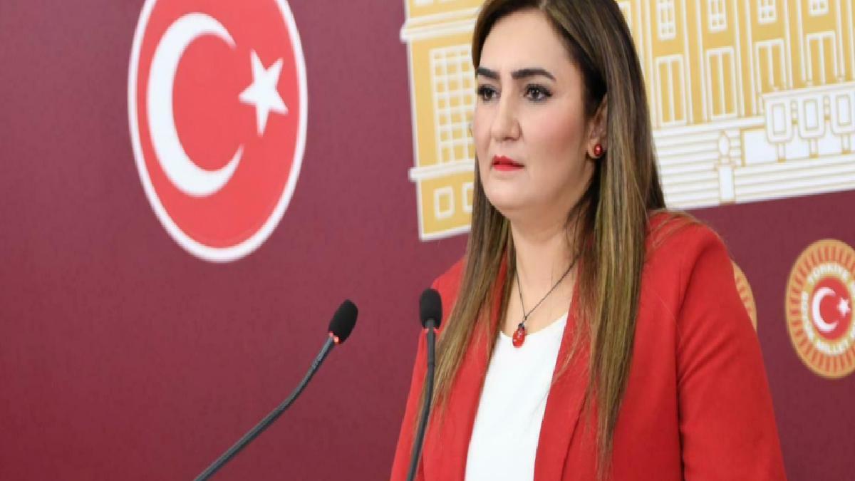 CHP’li vekil Sevda Erdan Kılıç, kendi ‘ölüm haberini’ yalanladı