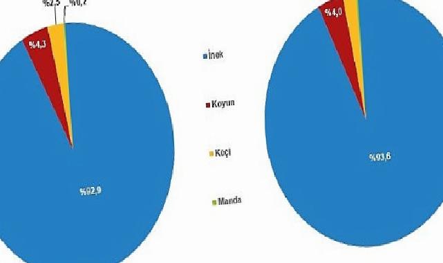 Çiğ Süt Üretim İstatistikleri, 2024