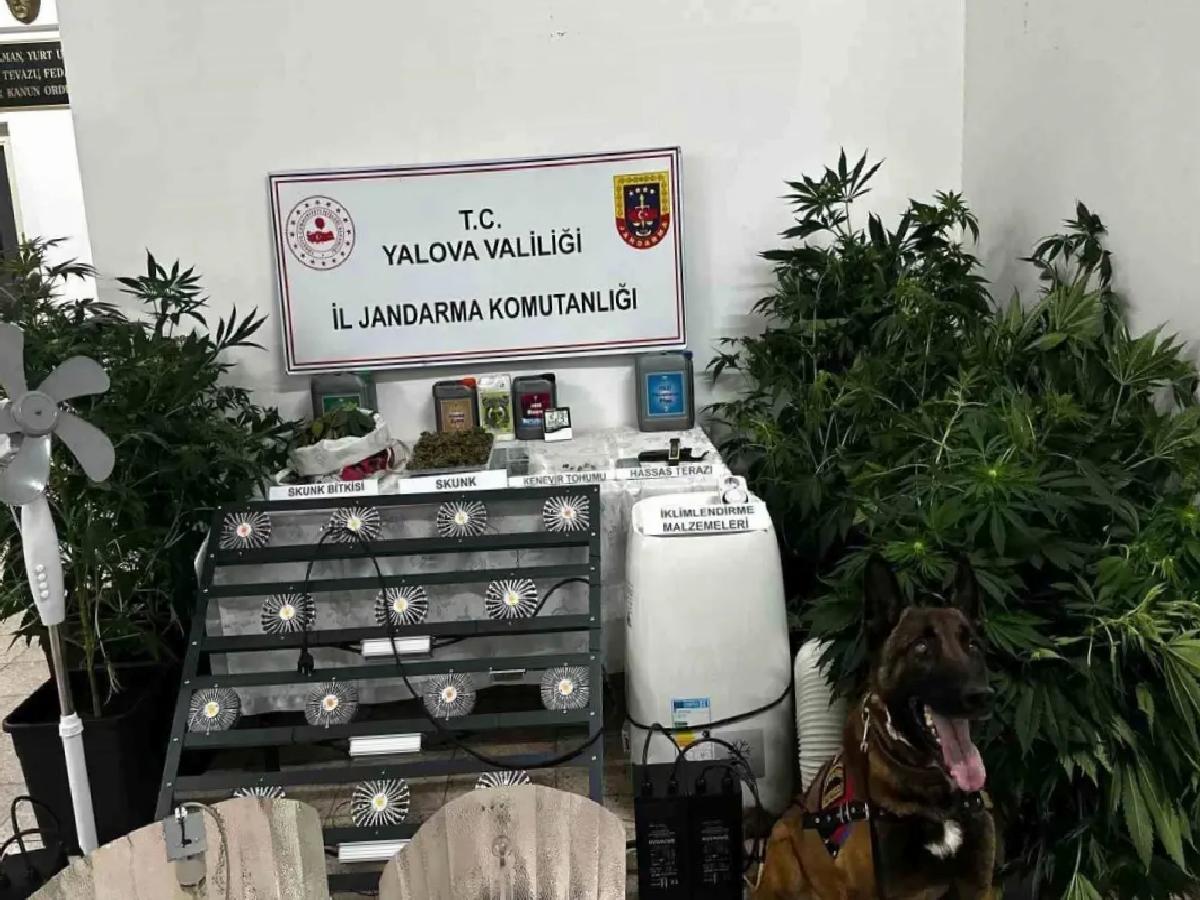 Çınarcık’ta Uyuşturucu Düzenek Operasyonu