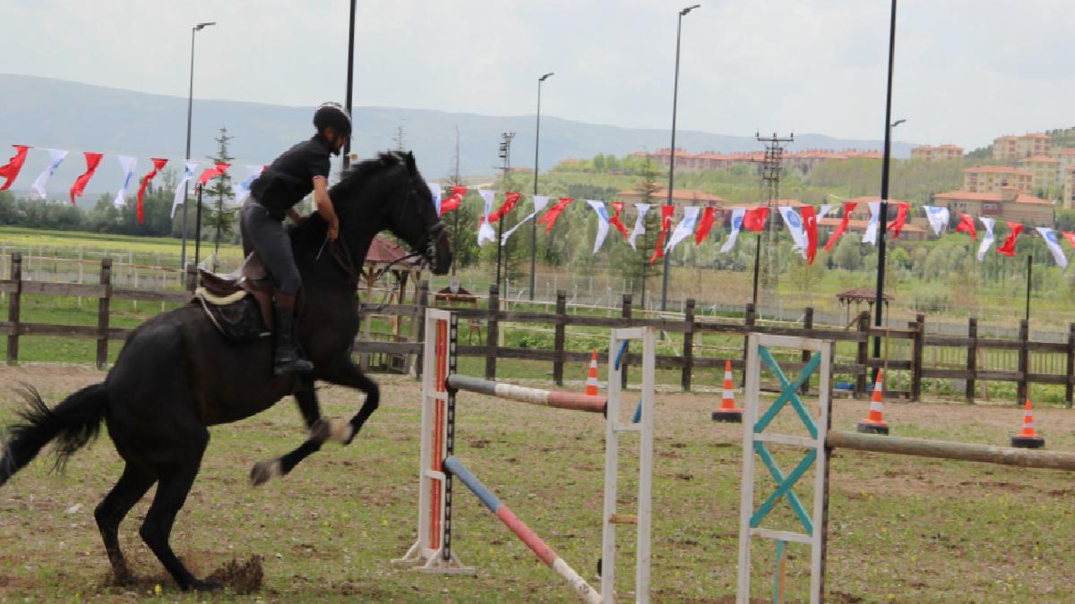 Çorum’da atlar güzellikleriyle yarıştı: Heyecan dolu anlar yaşandı