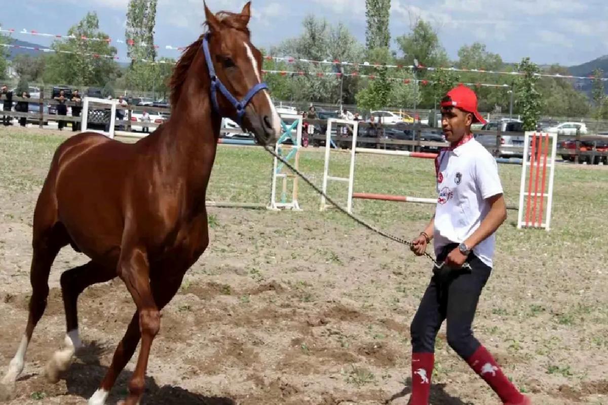 Çorum’da Milletlerarası Atçılık Şenliği Ağır İlgi Gördü