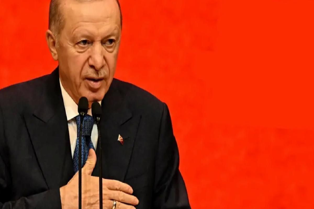 Cumhurbaşkanı Erdoğan: Eline bir mikrofon alan kendini gazeteci sanıyor