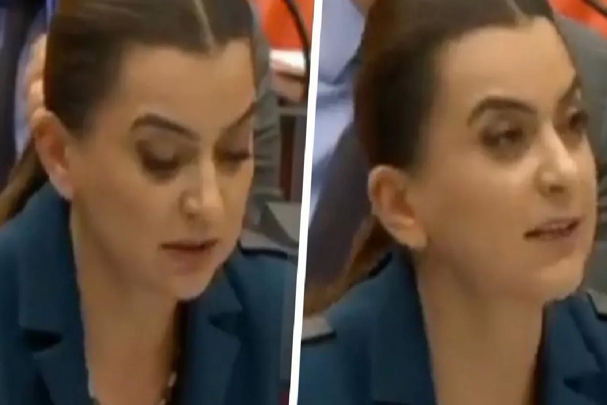 DEM Partili Koçyiğit Kürtçe konuştuğu sırada mikrofonu kapatıldı