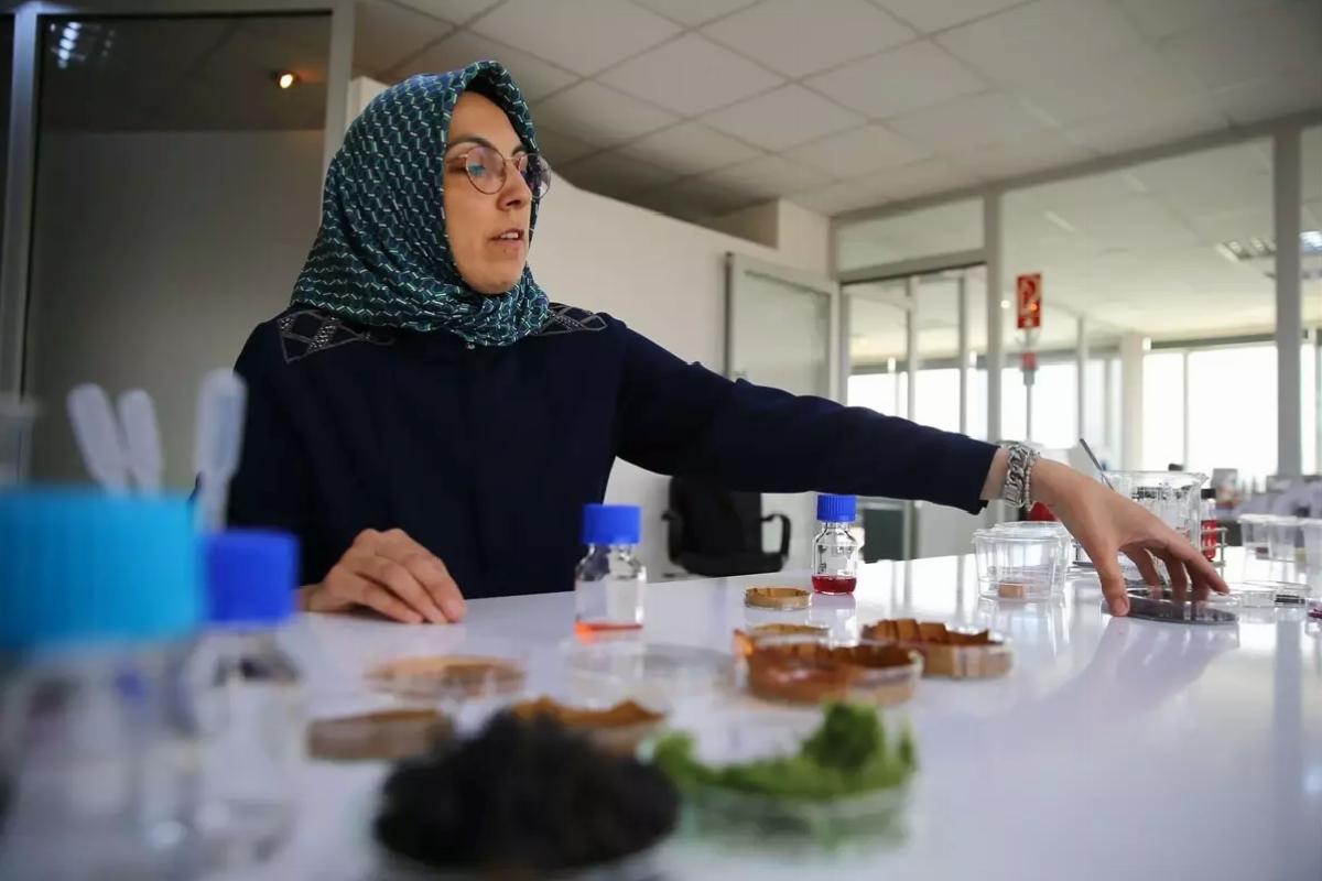 Deniz Yosunlu Akıllı Etiket Geliştirildi