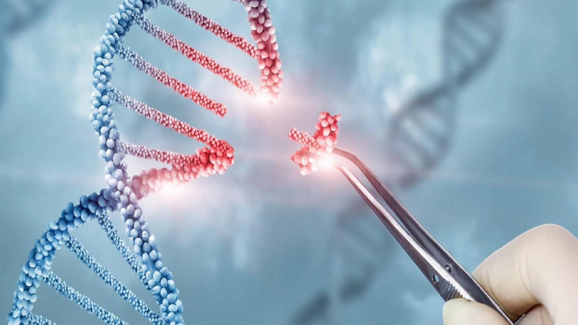 Dünyada birinci kere şahsileştirilmiş CRISPR gen düzenleme ile bir bebek tedavi edildi!