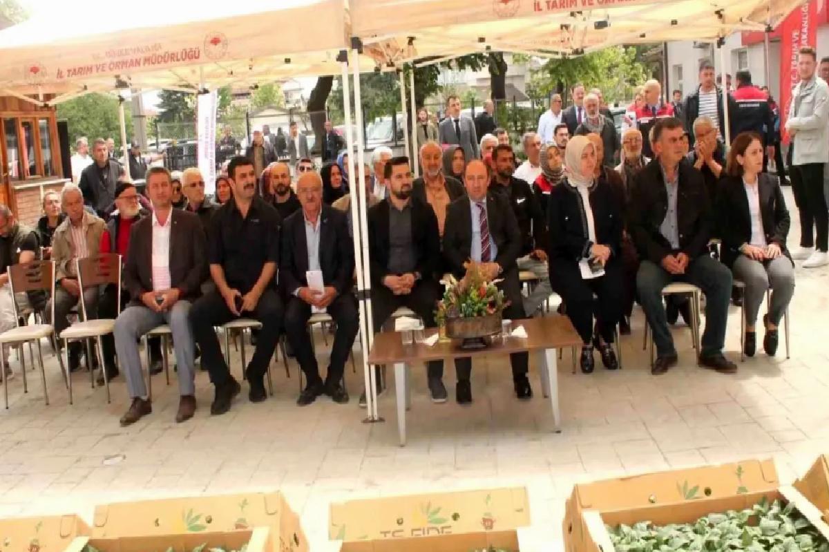 Düzce’de Fide Dağıtımı ile Zerzevat Üretimi Artacak