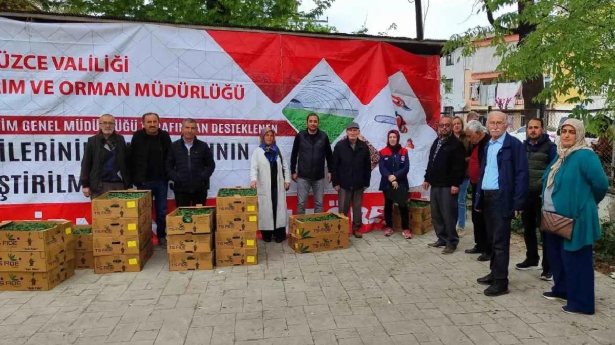 Düzce’de Fide Dağıtımıyla Tarım Destekleniyor