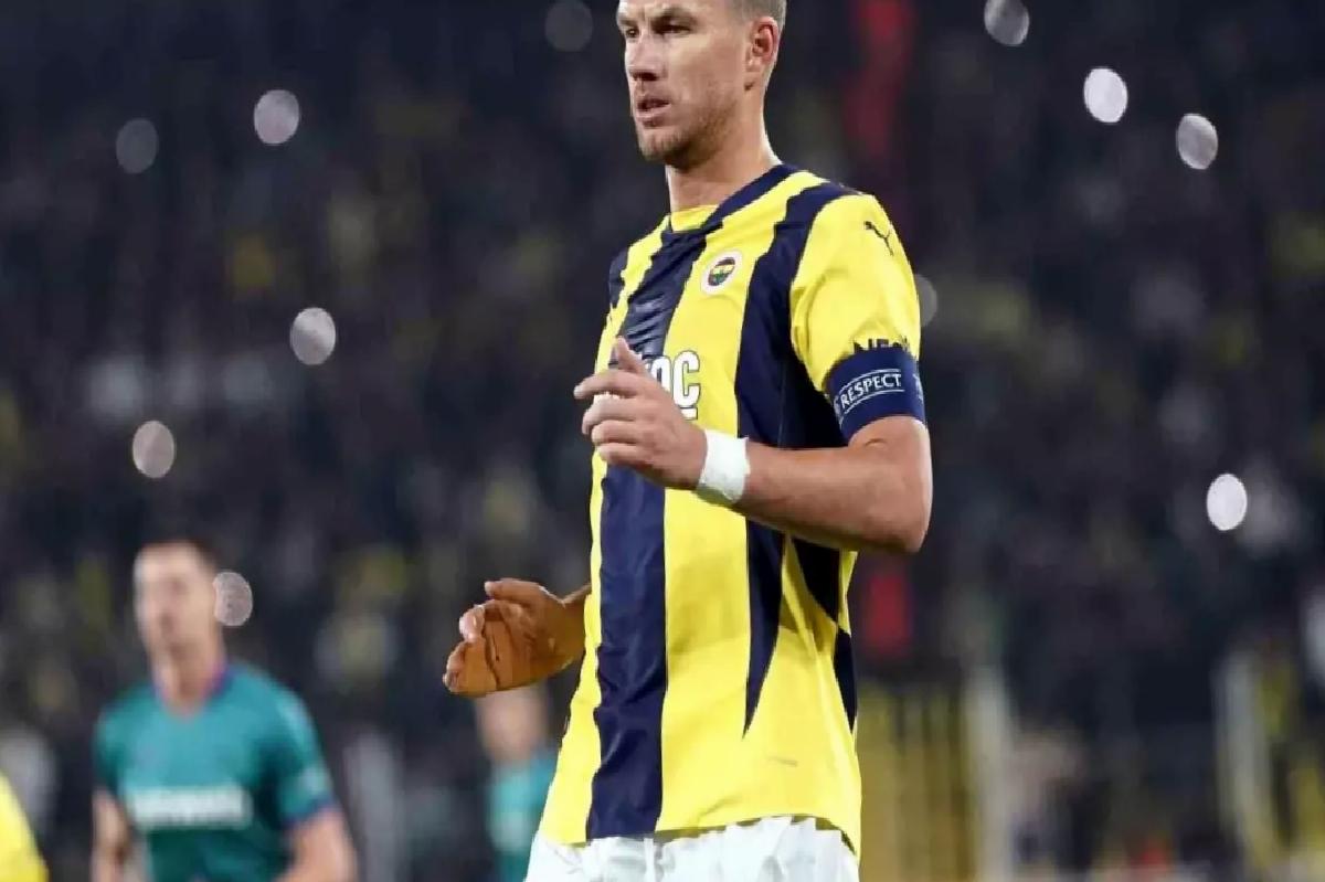 Dzeko ve Hajradinovic, Bosna Hersek Kadrosunda!