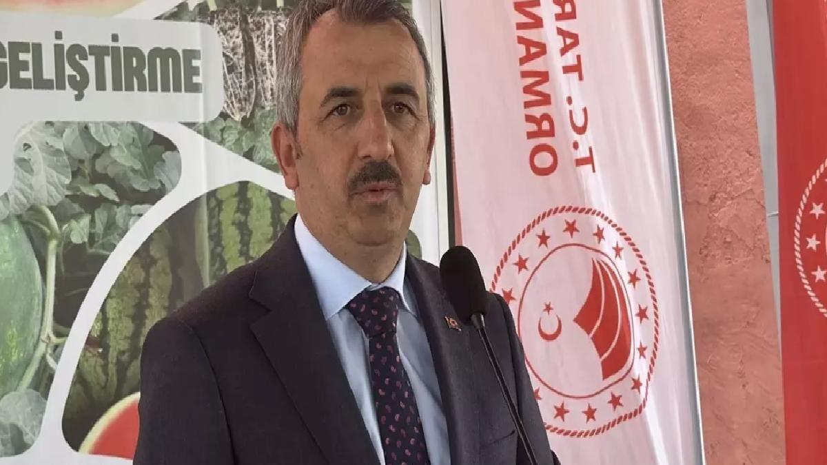 Edirne’de Çiftçilere Karpuz Fidesi Dağıtımı