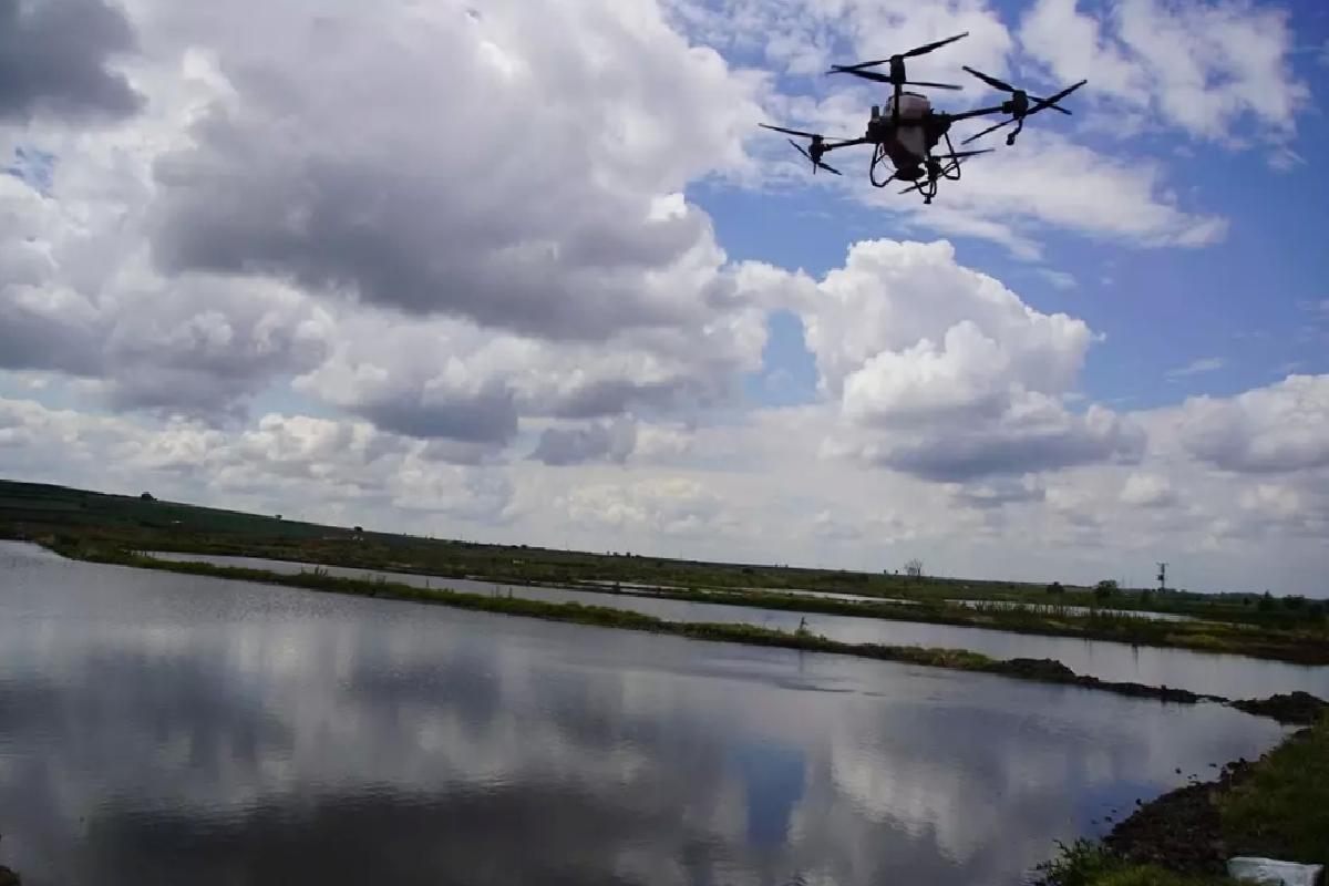 Edirne’de Dronla Çeltik Ekimi