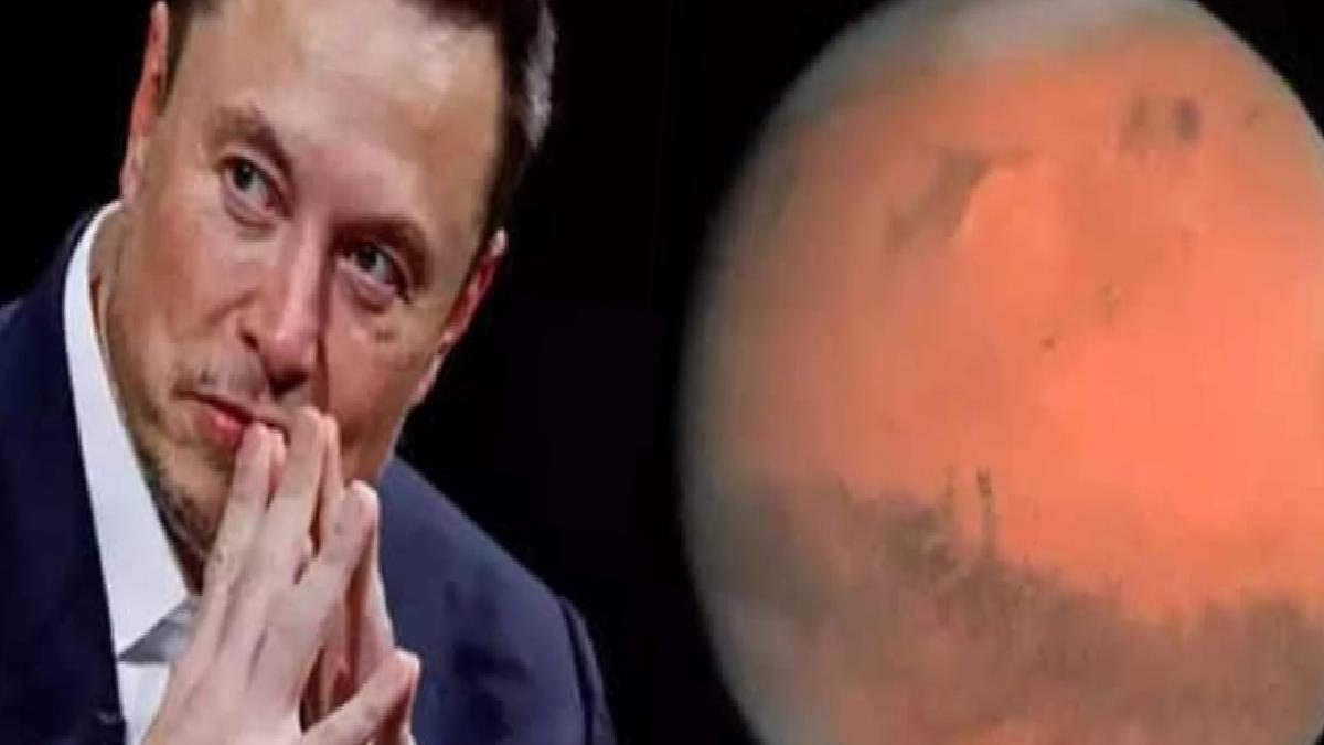 Elon Musk’tan kıyamet açıklaması: Mars hayat sigortamız olacak
