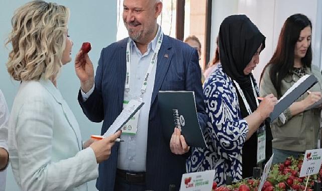 Emiralem Çilek Şenliği rekor kırdı: milyonu geçti!