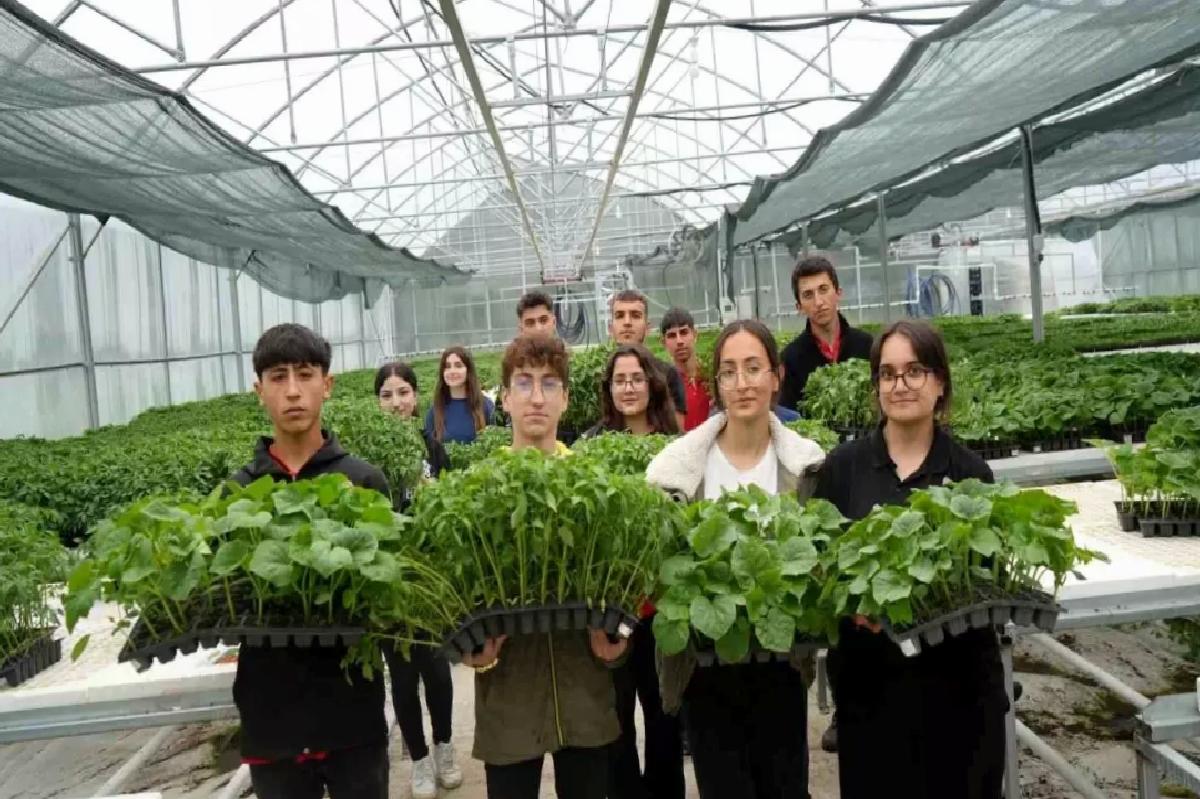 Erzincan’da Fide Üretiminde Maksat 1 Milyon
