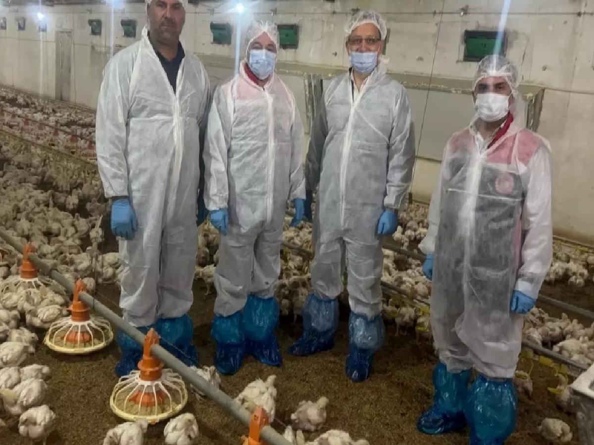 Erzincan’da Kanatlı Hayvan Bölümü Canlanıyor