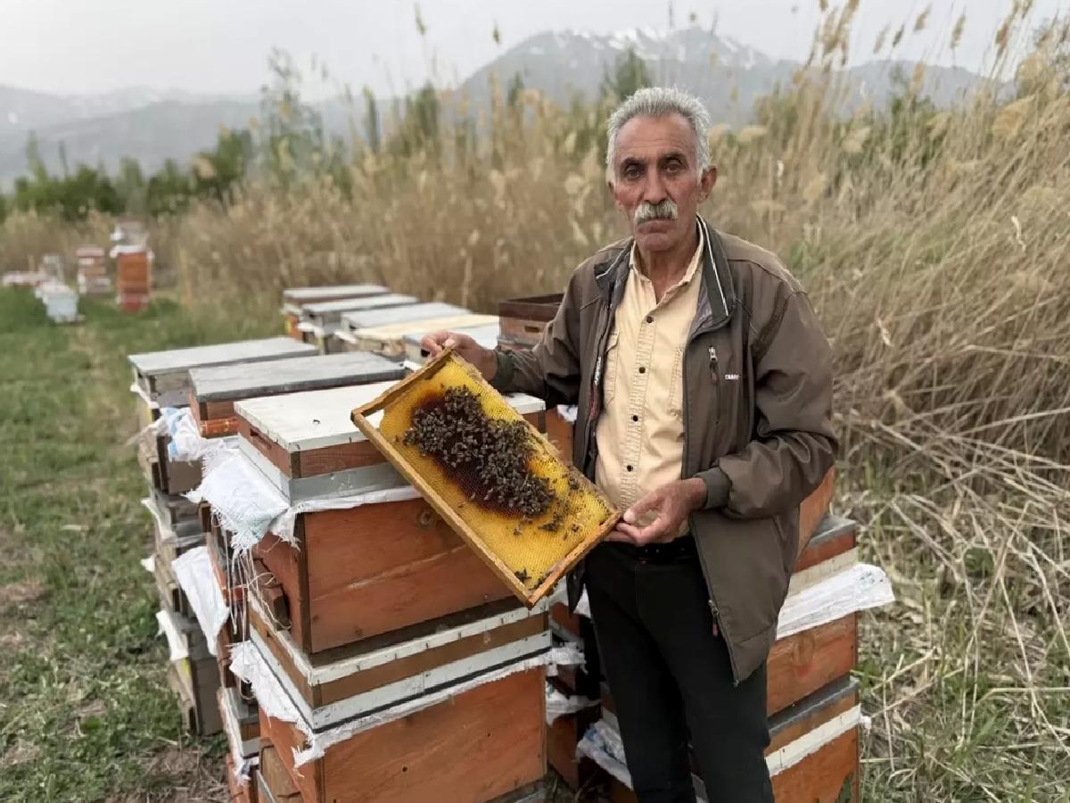 Erzincan’da Soğuk Hava Arıcılığı Olumsuz Etkiliyor