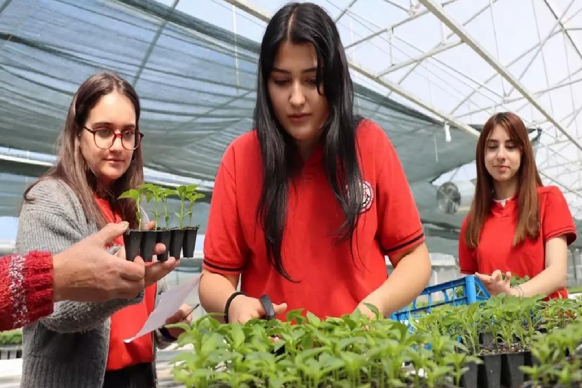 Erzincan’dan 1 Milyon Fide Maksadı
