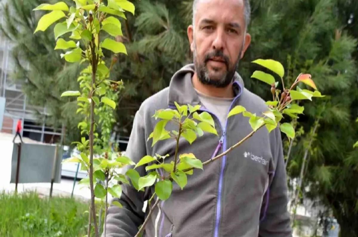 Fidancılık Ailesel Miras Oluyor
