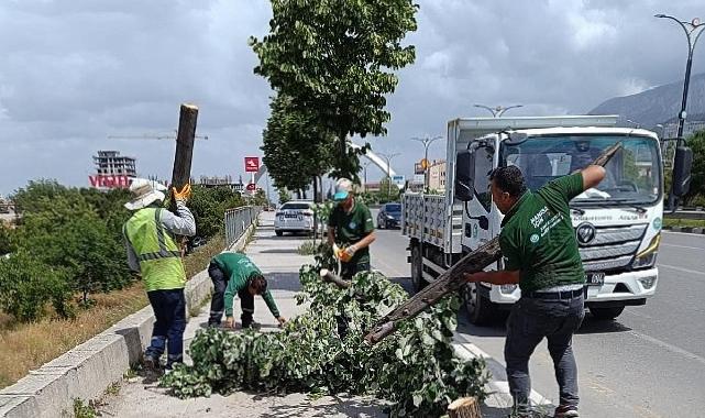 Fırtınanın Ziyan Verdiği Ağaçlar Kaldırıldı