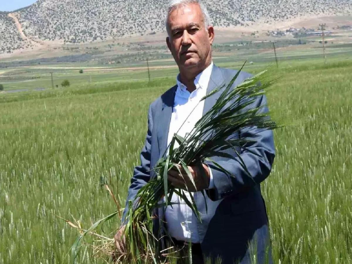 Gaziantep’te Buğday Rekoltesi Umut Veriyor