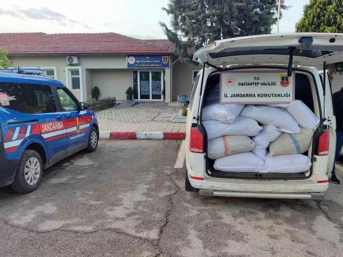 Gaziantep’te Kaçak Tütün Operasyonu