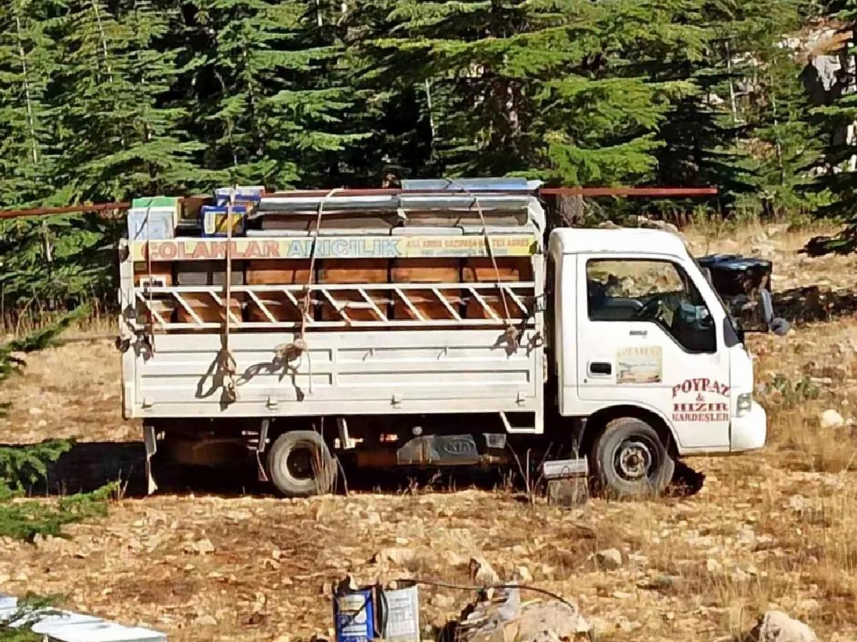 Gazipaşa’da Bal Üretim Dönemi Başladı
